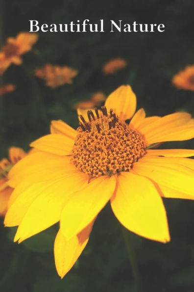 Beautiful Nature: For School and Notes, Gifts, 6" x 9" 120 Pages Checkered - 9781702498814