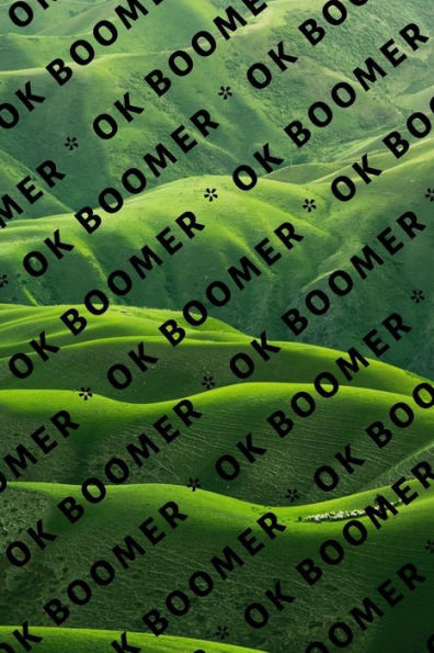 Ok Boomer - 9781704895741