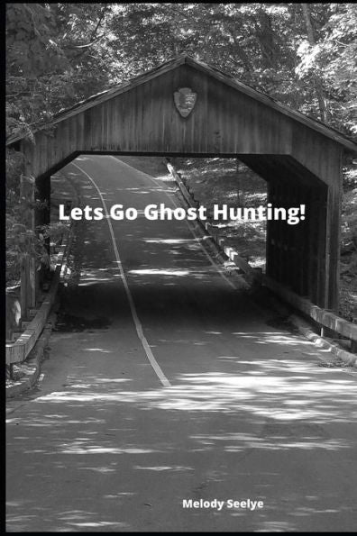 Lets Go Ghost Hunting! - 9781706558538
