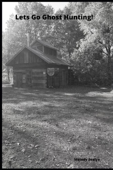 Lets Go Ghost Hunting! - 9781706562238