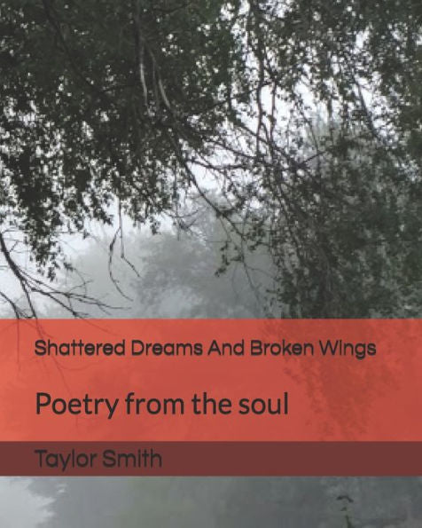 Shattered Dreams And Broken Wings : Poetry From The Soul