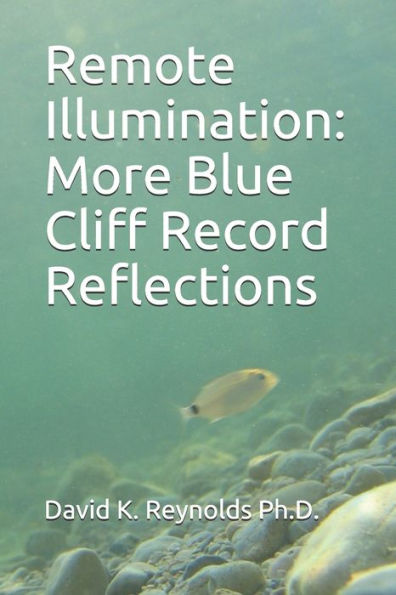 Remote Illumination : More Blue Cliff Record Reflections