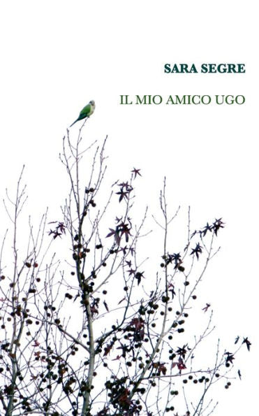 Il mio amico Ugo: storia delle ventisei lune (Italian Edition)