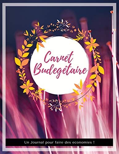Carnet Budg??taire: Carnet De D??pense/Recettes et Comptes Toute Une Ann??e | Dim A4 | 60 Pages (French Edition)