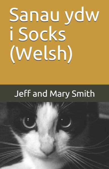 Sanau Ydw I Socks (Welsh)
