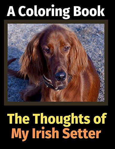 The Thoughts of My Irish Setter: A Coloring Book