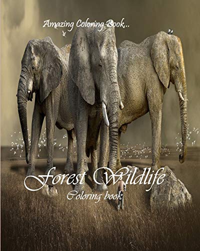 FOREST WILDLIFE: Wildlife Coloring Book