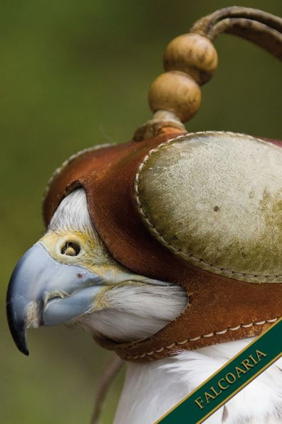 Falcoaria: Falcão com capuz. Formato A5, 120 paginas, cinza discreto alinhado. Entradas diarias, notas e diario, caderno e recolha de ideias para o ... da natureza e aves. (Portuguese Edition)