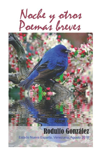 Noche Y Otros Poemas Breves