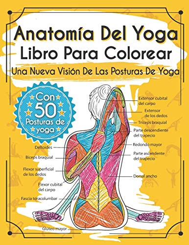 Anatom?ía Del Yoga Libro Para Colorear: Una Nueva Visi??n De Las Posturas De Yoga (Spanish Edition)