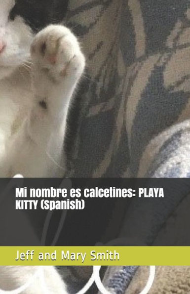 Mi Nombre Es Calcetines : Playa Kitty (Spanish)