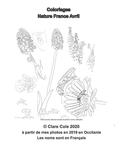 Coloriages Nature France Avril - Noms en Francais (French Edition)