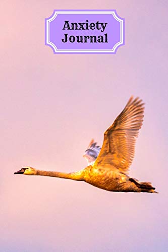 Mental Health Tracker for teens and adults - 9781716069925