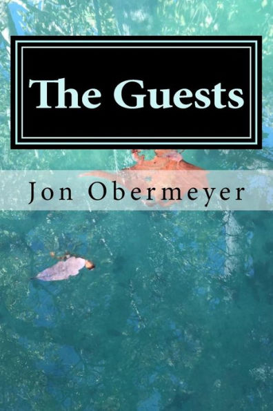 The Guests : A Story Of Stroke, Depression And Healing