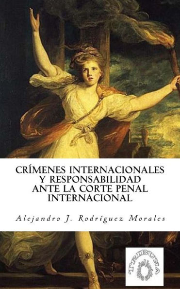 Cr�menes internacionales y responsabilidad ante la Corte Penal Internacional (Edición en español)