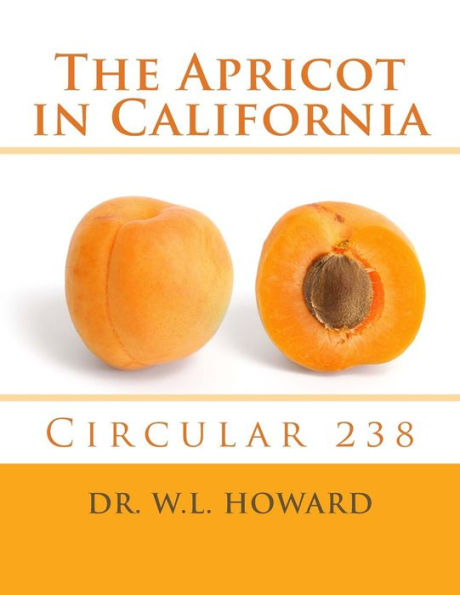 The Apricot In California : Circular 238