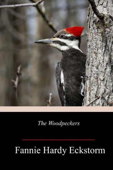 The Woodpeckers - 9781717505750