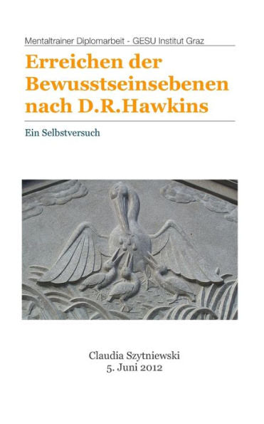 Erreichen der Bewusstseinsebenen nach D.R.Hawkins: Ein Selbstversuch (German Edition)