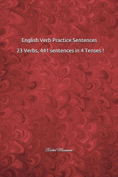 English Verb Practice Sentences : 23 Verbs, 441 sentences in 4 Tenses !: Rachid Moussaoui