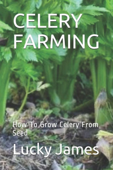 CELERY FARMING: How To Grow Celery From Seed