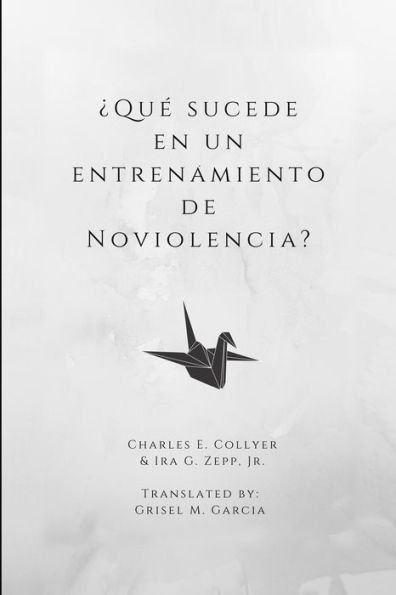 ?QuE sucede en un entrenamiento de Noviolencia? (Nonviolence: Origins and Outcomes) (Spanish Edition)