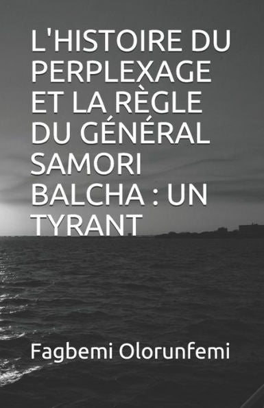 L'Histoire Du Perplexage Et La R
