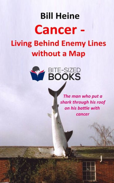 Cancer - Living Behind Enemy Lines without a Map (Bite-Sized Lifestyle Books)