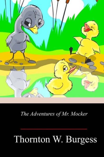 The Adventures Of Mr. Mocker - 9781718675773