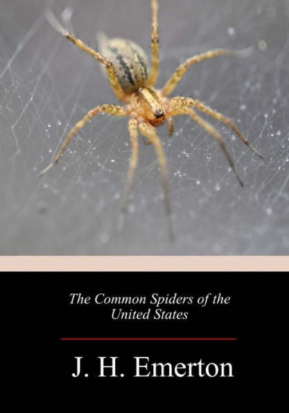 The Common Spiders Of The United States - 9781718675872