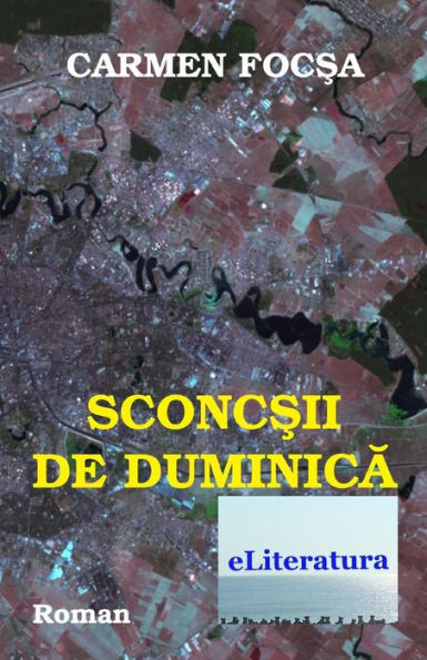 Sconcsii De Duminica : Roman