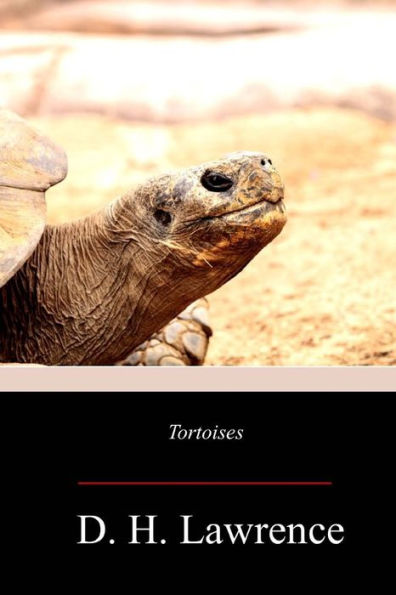 Tortoises - 9781719299589