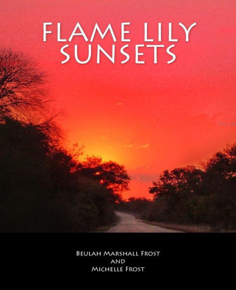 Flame Lily Sunsets: A Rhodesian Railway Journey from Bannockburn to Malvernia in the 1950?s