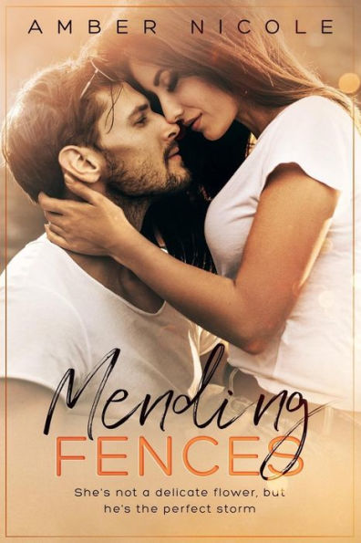 Mending Fences - 9781719878517