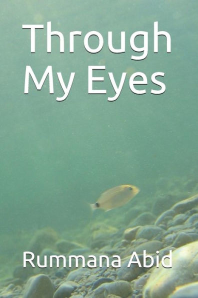 Through My Eyes - 9781720079989