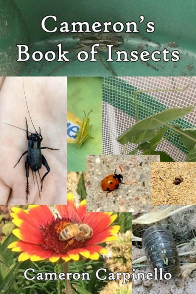 Cameron's Book of Insects