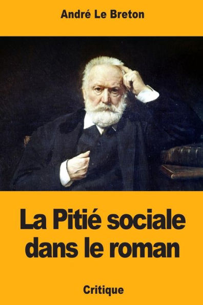La Pitie sociale dans le roman (French Edition)