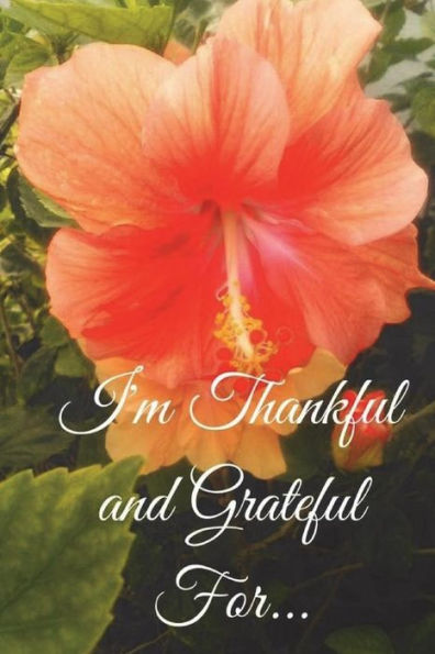 I'm Thankful and Grateful For...: Everyday That I Wake To See The Sun's New Day