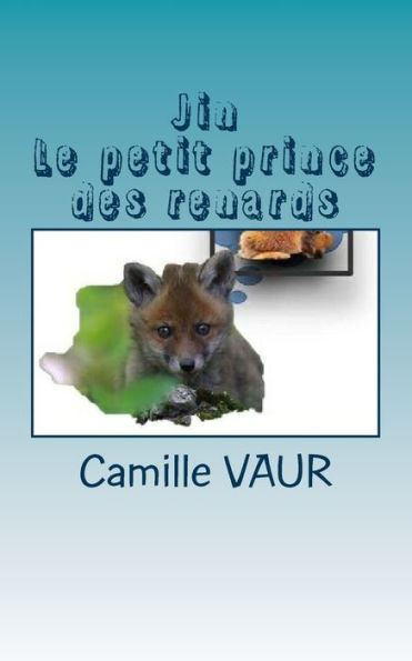 Jin, le petit prince des renards (French Edition)