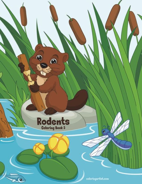 Rodents Coloring Book 3
