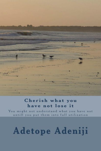 Cherish what you have not lose it: You might not understand what you have not untill you put them into full utilization