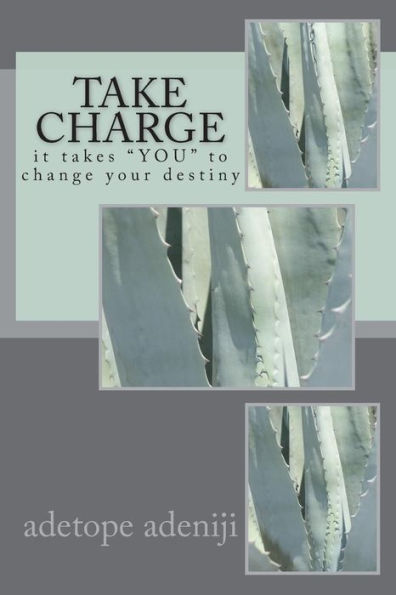 Take Charge : It Takes You To Change Your Destiny