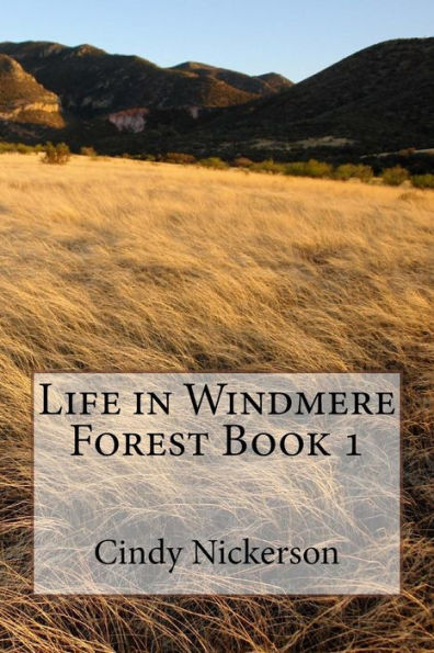 Life In Windmere Forest