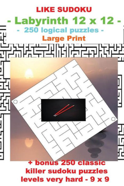 Like Sudoku - Labyrinth 12 X 12 - 250 Logical Puzzles - : Large Print + Solutions + Bonus 250 Classic Killer Sudoku Puzzles Levels Very Hard - 9 X 9