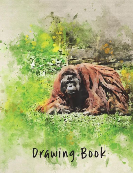 Drawing Book: Orangutang (Drawing Books)