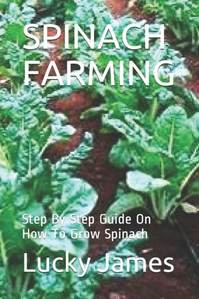 Spinach Farming : Step By Step Guide On How To Grow Spinach