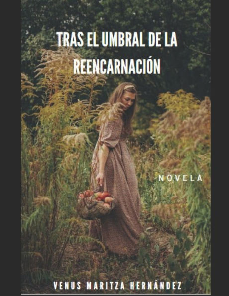 Tras El Umbral De La Reencarnación