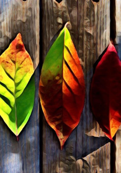 Halloween Activity Book (Halloween Journals) - 9781723986178