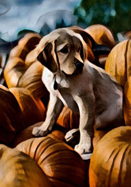 Halloween Activity Book (Halloween Journals) - 9781723988134