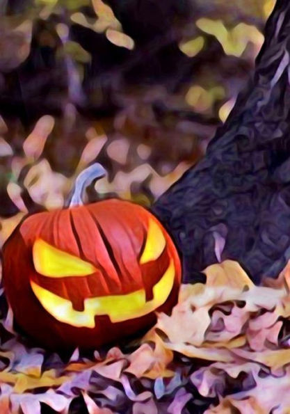 Halloween Activity Book (Halloween Journals) - 9781723989698