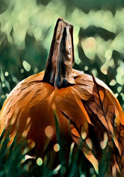 Halloween Activity Book (Halloween Journals) - 9781723990748